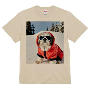 TVc Y LbY t@  t vg JWA 킢 lԗp tBbglX  V[Y[ ~ XL[EFA XL[S[O