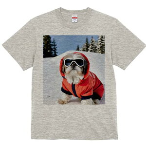 TVc Y LbY t@  t vg JWA 킢 lԗp tBbglX  V[Y[ ~ XL[EFA XL[S[O