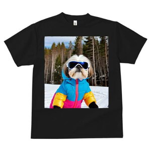 TVc fB[X t@  t vg JWA 킢 lԗp tBbglX XL[ V[Y[ ~  XL[EFA