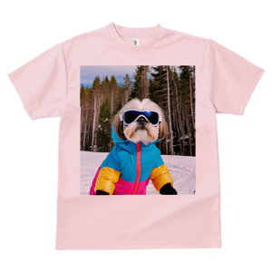 TVc Y LbY t@  t vg JWA 킢 lԗp tBbglX XL[ V[Y[ ~  XL[EFA