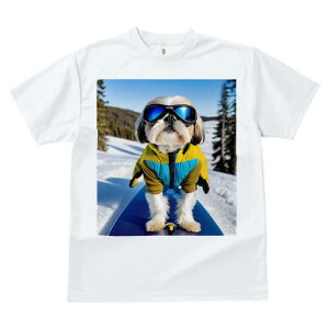 TVc fB[X t@  t vg JWA 킢 lԗp tBbglX Xm[{[h V[Y[ XL[EFA S[O R