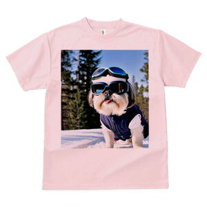 TVc Y LbY t@  t vg JWA 킢 lԗp tBbglX TOX V[Y[  ~ XL[EFA