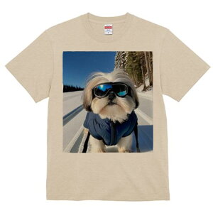 TVc Y LbY t@  t vg JWA 킢 lԗp tBbglX XL[ V[Y[ ~  XL[EFA