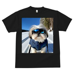 TVc fB[X t@  t vg JWA 킢 lԗp tBbglX XL[ V[Y[ ~  XL[EFA