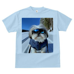 TVc Y LbY t@  t vg JWA 킢 lԗp tBbglX XL[ V[Y[ ~  XL[EFA