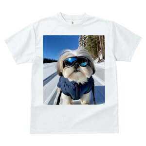 TVc fB[X t@  t vg JWA 킢 lԗp tBbglX XL[ V[Y[ ~  XL[EFA