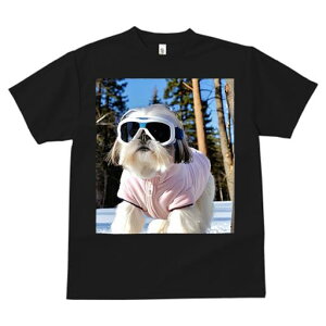 TVc fB[X t@  t vg JWA 킢 lԗp tBbglX XL[ V[Y[ ~  XL[EFA