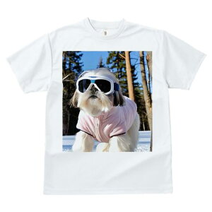 TVc fB[X t@  t vg JWA 킢 lԗp tBbglX XL[ V[Y[ ~  XL[EFA