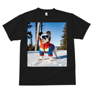 TVc fB[X t@  t vg JWA 킢 lԗp tBbglX XL[EFA V[Y[  ~ XL[S[O