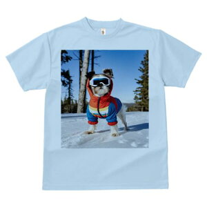 TVc Y LbY t@  t vg JWA 킢 lԗp tBbglX XL[EFA V[Y[  ~ XL[S[O