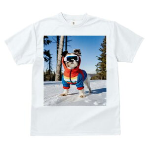 TVc fB[X t@  t vg JWA 킢 lԗp tBbglX XL[EFA V[Y[  ~ XL[S[O