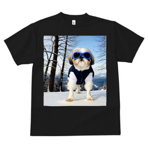 TVc fB[X t@  t vg JWA 킢 lԗp tBbglX XL[EFA V[Y[ ~ 