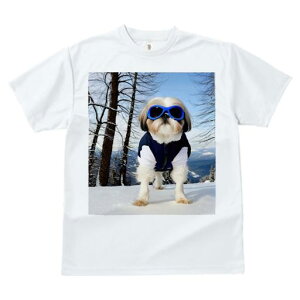 TVc fB[X t@  t vg JWA 킢 lԗp tBbglX XL[EFA V[Y[ ~ 