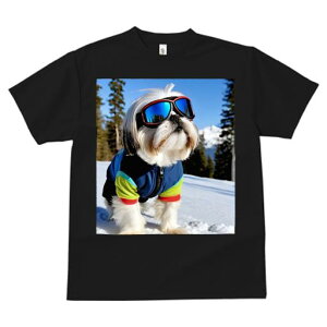 TVc fB[X t@  t vg JWA 킢 lԗp tBbglX TOX V[Y[  ~ XL[EFA