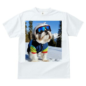 TVc fB[X t@  t vg JWA 킢 lԗp tBbglX TOX V[Y[  ~ XL[EFA