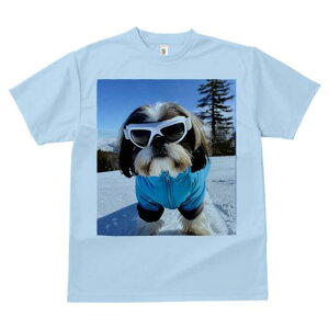 TVc Y LbY t@  t vg JWA 킢 lԗp tBbglX TOX V[Y[  ~ XL[EFA