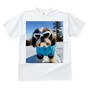 TVc fB[X t@  t vg JWA 킢 lԗp tBbglX TOX V[Y[  ~ XL[EFA