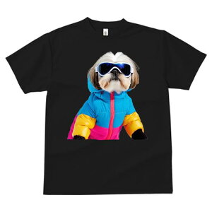 TVc fB[X t@  t vg JWA 킢 lԗp tBbglX XL[EFA V[Y[ XL[S[O ~ XL[