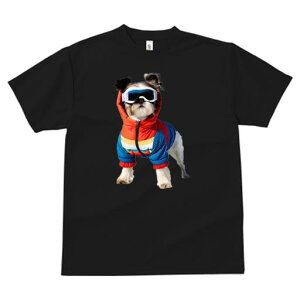 TVc fB[X t@  t vg JWA 킢 lԗp tBbglX XL[EFA V[Y[ XL[S[O