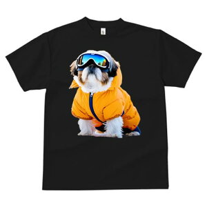 TVc fB[X t@  t vg JWA 킢 lԗp tBbglX XL[ V[Y[ XL[EFA S[O ~