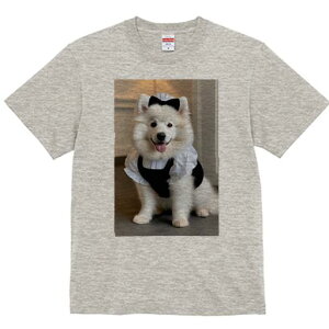 TVc Y LbY t@  t vg JWA 킢 lԗp tBbglX Ch TGh RXv 