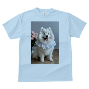 TVc Y LbY t@  t vg JWA 킢 lԗp tBbglX ԑ TGh