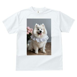 TVc fB[X t@  t vg JWA 킢 lԗp tBbglX ԑ TGh