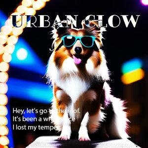 TOX VFbghV[vhbO lICg A[oO[ NbVJo[ 45×45cm Aj}   NbV{̕t `