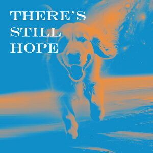 �S�[���f�����g���o�[ �N�b�V�����J�o�[ 45×45cm �A�j�}���� ������� ���� �N�b�V�����{�̕t�� �����`