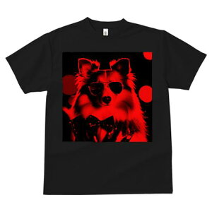 TVc fB[X t@  t vg JWA 킢 lԗp tBbglX TOX VFbghV[vhbO lN^C