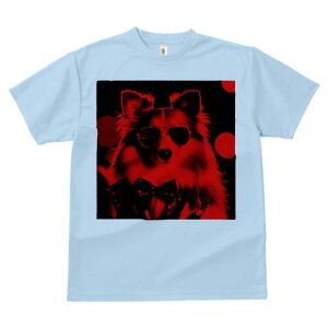 TVc Y LbY t@  t vg JWA 킢 lԗp tBbglX TOX VFbghV[vhbO lN^C