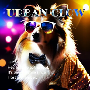 TOX VFbghV[vhbO lN^C WPbg p[eB[ NbVJo[ 45×45cm Aj}   NbV{̕t `