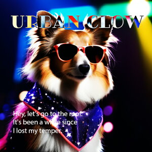 �T���O���X �V�F�b�g�����h�V�[�v�h�b�O �o���_�i �l�I�� �N�b�V�����J�o�[ 45×45cm �A�j�}���� ������� ���� �N�b�V�����{�̕t�� �����`