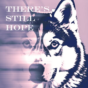 �V�x���A���n�X�L�[ �N�b�V�����J�o�[ 45×45cm �A�j�}���� ������� ���� �N�b�V�����{�̕t�� �����`