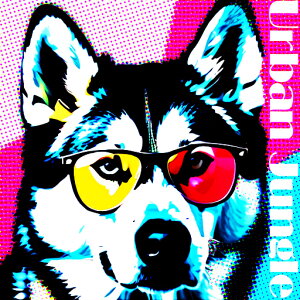 Kl nXL[ NbVJo[ 45×45cm Aj}   NbV{̕t `