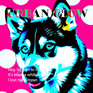 A[o VxAnXL[ O[ |bvA[g NbVJo[ 45×45cm Aj}   NbV{̕t `