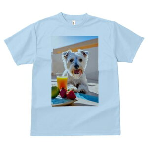 TVc Y LbY t@  t vg JWA 킢 lԗp tBbglX W[X EGXgnChzCgeA  C