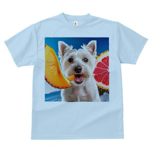 TVc Y LbY t@  t vg JWA 킢 lԗp tBbglX t[c EGXgnChzCgeA  C