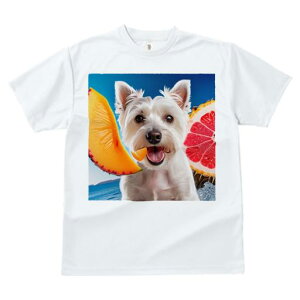 TVc fB[X t@  t vg JWA 킢 lԗp tBbglX t[c EGXgnChzCgeA  C