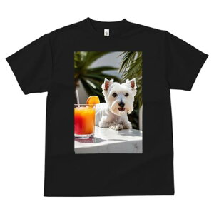 TVc fB[X t@  t vg JWA 킢 lԗp tBbglX JNe EGXgnChzCgeA hN IW