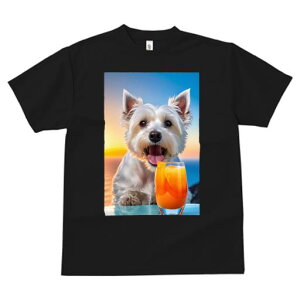 TVc fB[X t@  t vg JWA 킢 lԗp tBbglX IWW[X EGXgnChzCgeA OX ݕ r[`