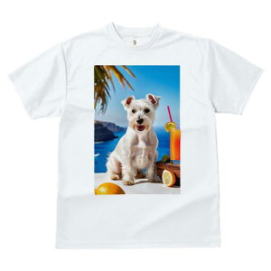 TVc fB[X t@  t vg JWA 킢 lԗp tBbglX C EGXgnChzCgeA r[`  gsJ