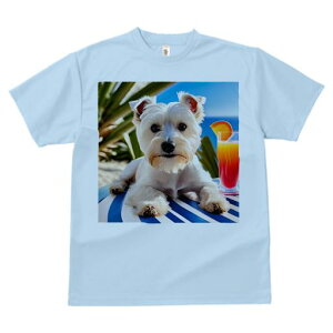 TVc Y LbY t@  t vg JWA 킢 lԗp tBbglX JNe EGXgnChzCgeA C r[` V̖