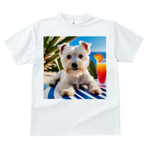 TVc fB[X t@  t vg JWA 킢 lԗp tBbglX JNe EGXgnChzCgeA C r[` V̖