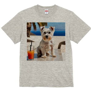 TVc Y LbY t@  t vg JWA 킢 lԗp tBbglX ݕ EGXgnChzCgeA C