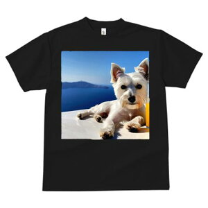 TVc Y LbY t@  t vg JWA 킢 lԗp tBbglX C EGXgnChzCgeA  W[X