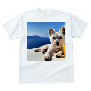 TVc fB[X t@  t vg JWA 킢 lԗp tBbglX C EGXgnChzCgeA  W[X