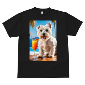 TVc fB[X t@  t vg JWA 킢 lԗp tBbglX C EGXgnChzCgeA W[X JNe ][g