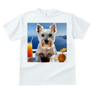 TVc fB[X t@  t vg JWA 킢 lԗp tBbglX C EGXgnChzCgeA W[X IW