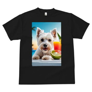 TVc fB[X t@  t vg JWA 킢 lԗp tBbglX JNe EGXgnChzCgeA t[c  ][g